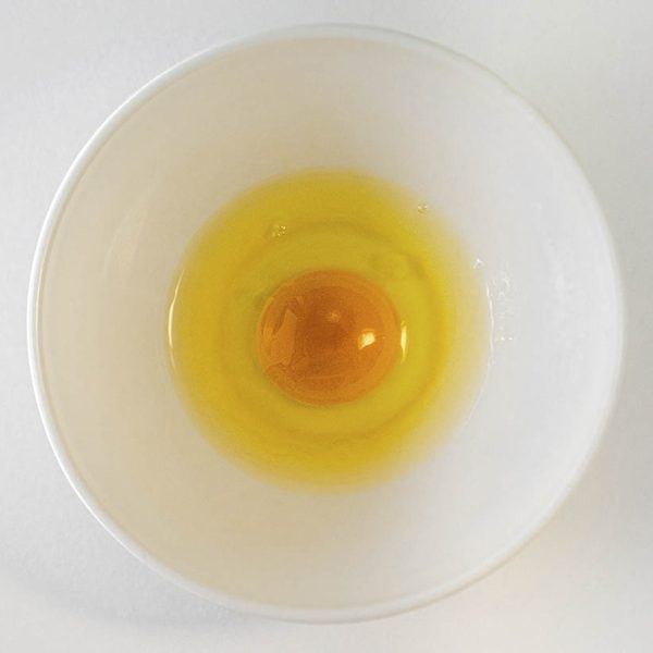 Absence 23 oeuf bol web